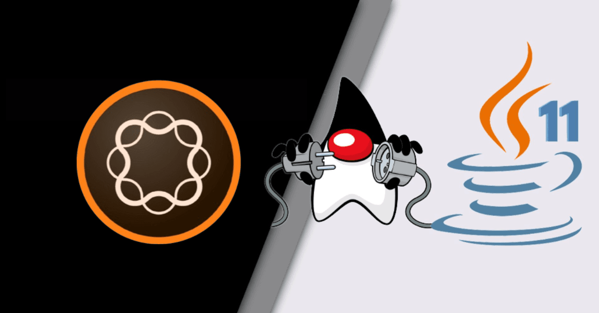 Adobe-Experience-Manager-and-JDK11.png